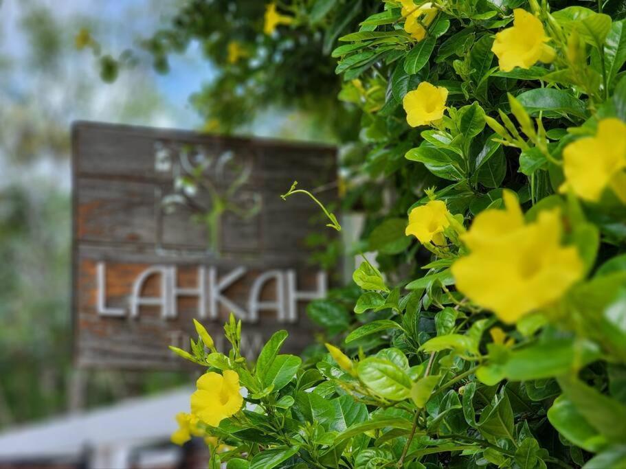 Amazing Jungle Retreat Lahkah Tulum Daire Dış mekan fotoğraf